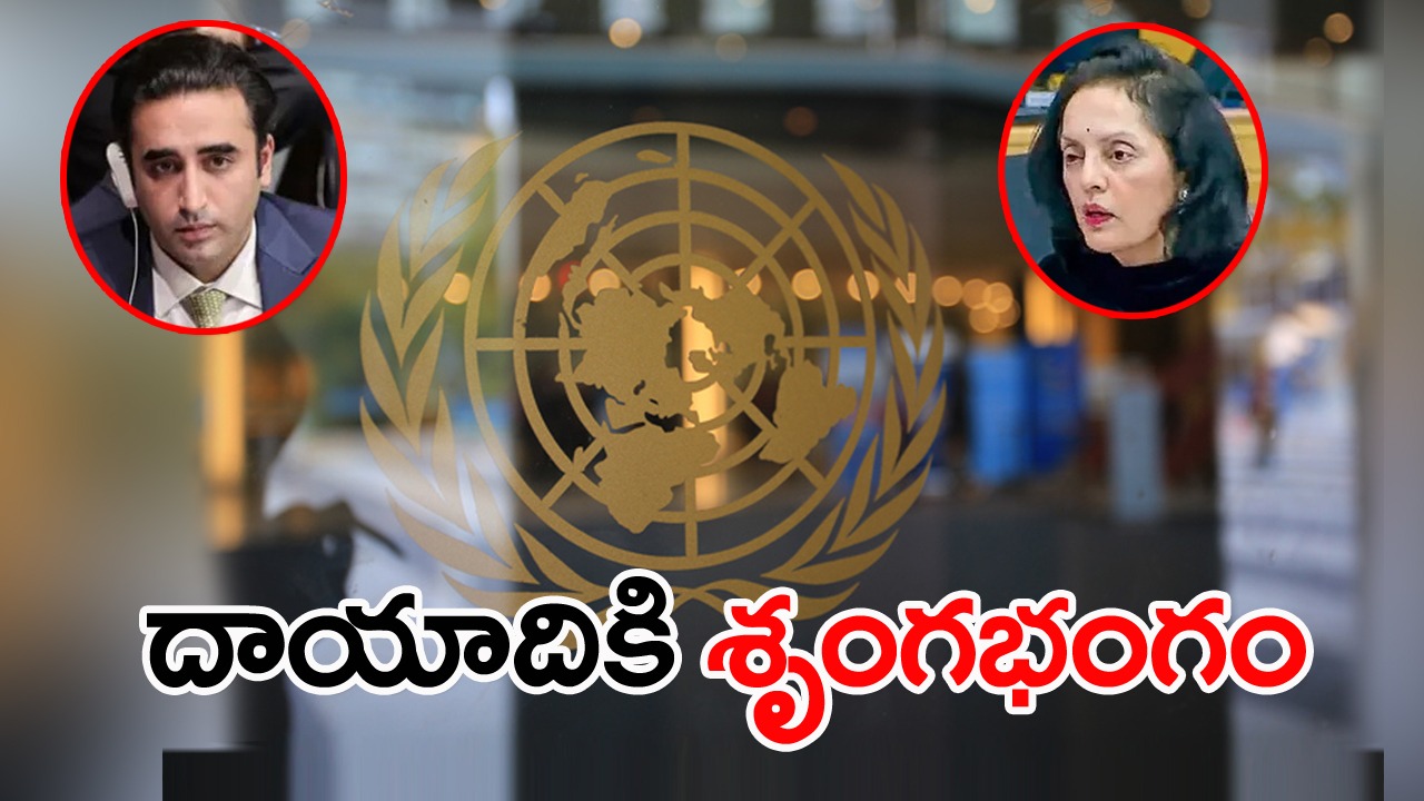 యూఎన్‌ఎస్సీ: కశ్మీర్‌పై పాకిస్థాన్‌ పాత కథే.. భారత్‌ స్పందించదు