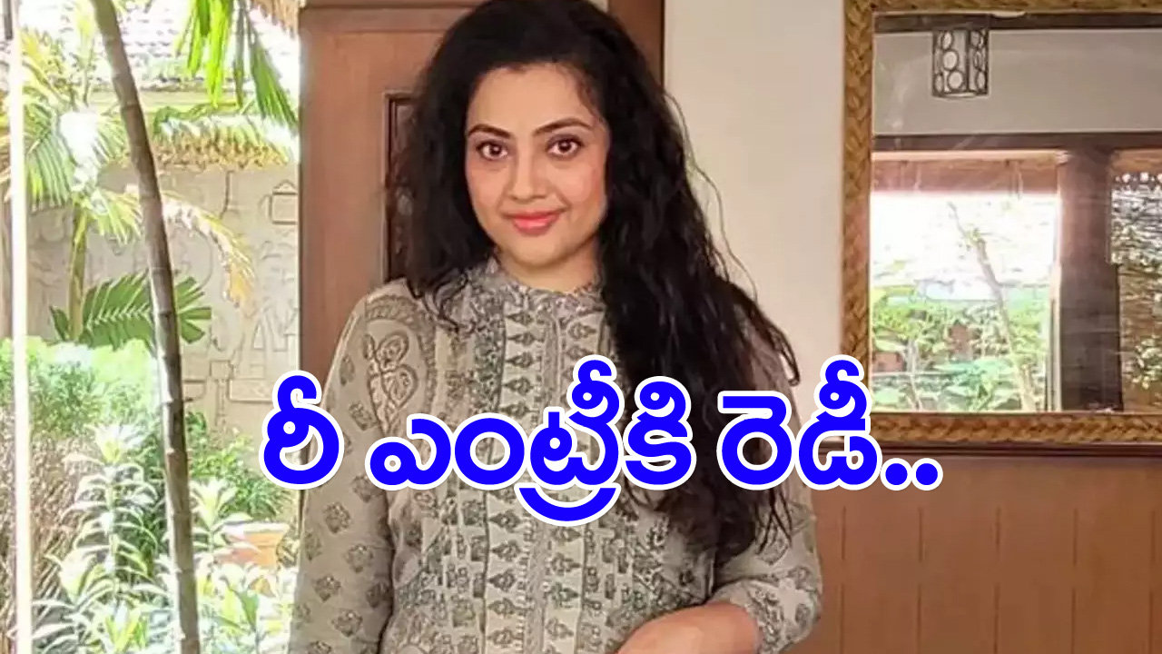 మీనా: మళ్లీ కెమెరా ముందు మీనా..