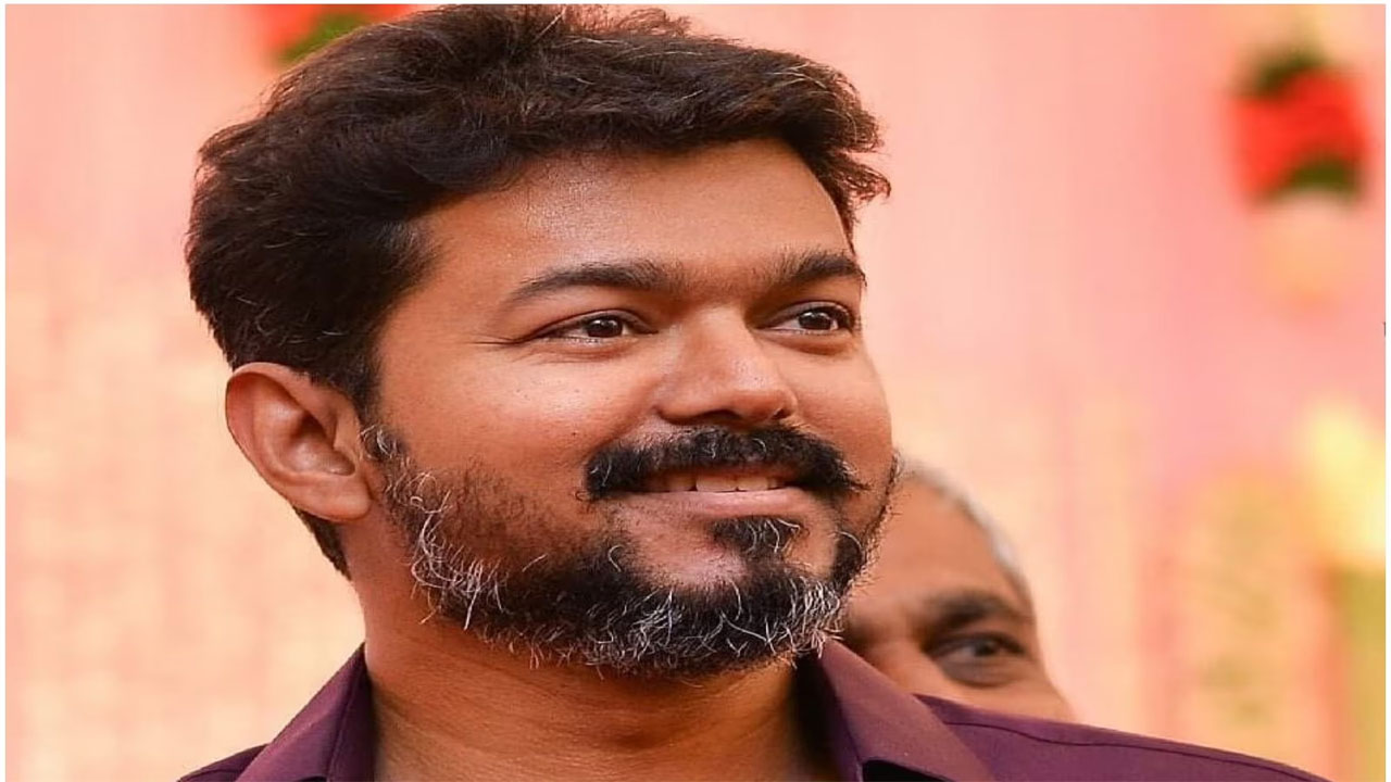 హీరో విజయ్: పార్లమెంట్ ఎన్నికల్లో.. విజయ్ పొలిటికల్ ఎంట్రీ