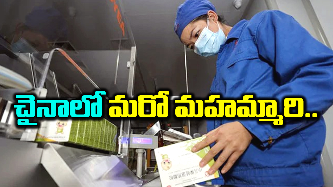 చైనా: చైనాలో మరో మహమ్మారి పుట్టుక.. కరోనా తరహాలో మరో విలీనమా?