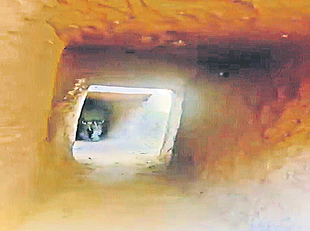 దంతేవాడలో 130 మీటర్ల టన్నెల్‌లో వరి సొరంగాలు